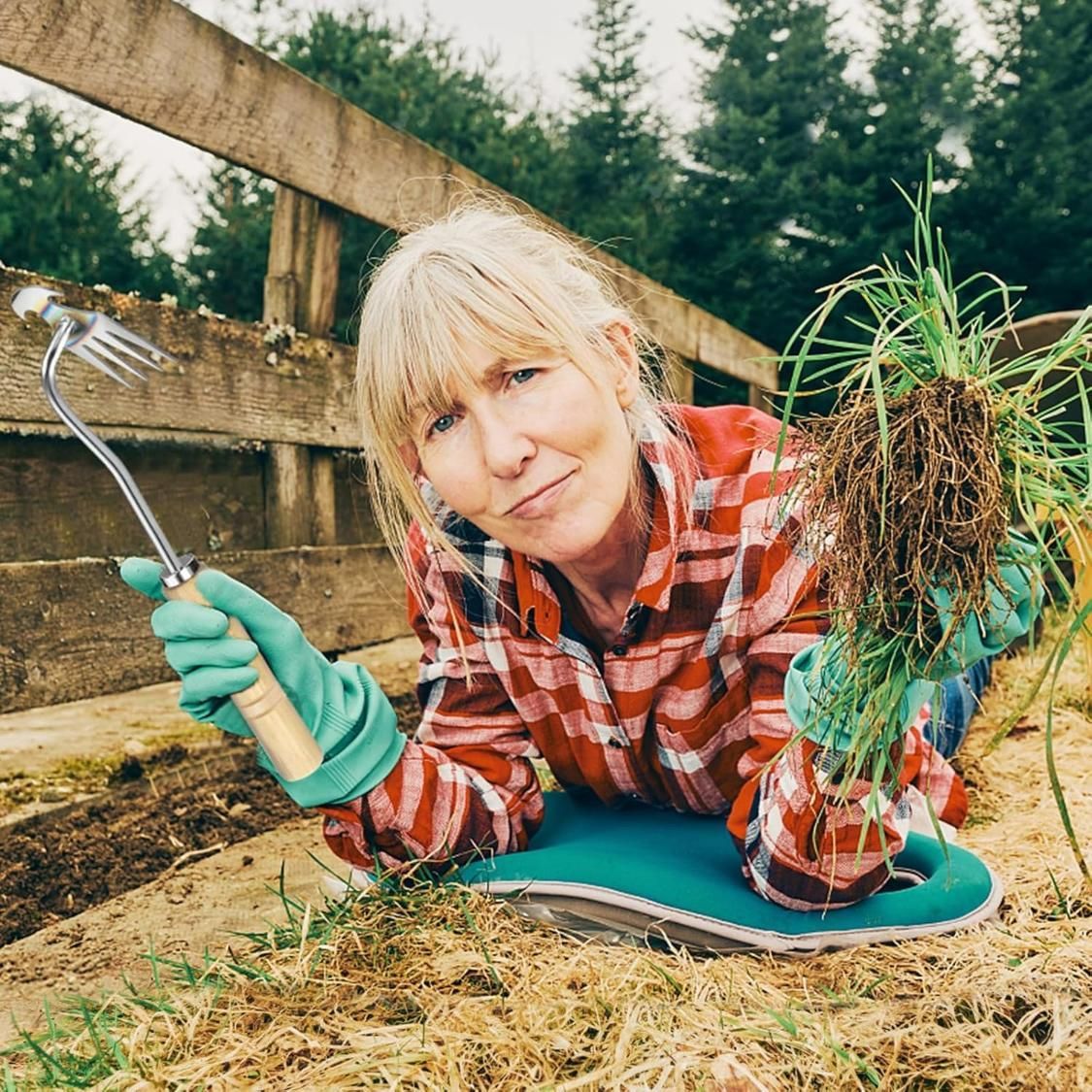 Gardening Hand Weeding Tool