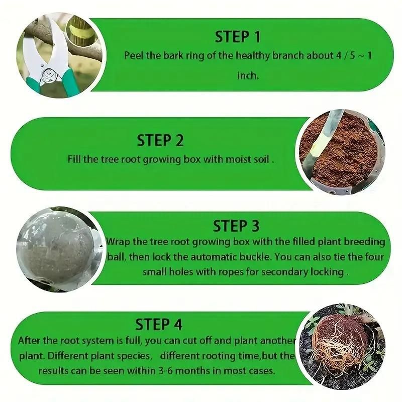 Plant Root Growing Box (Pack of 4)