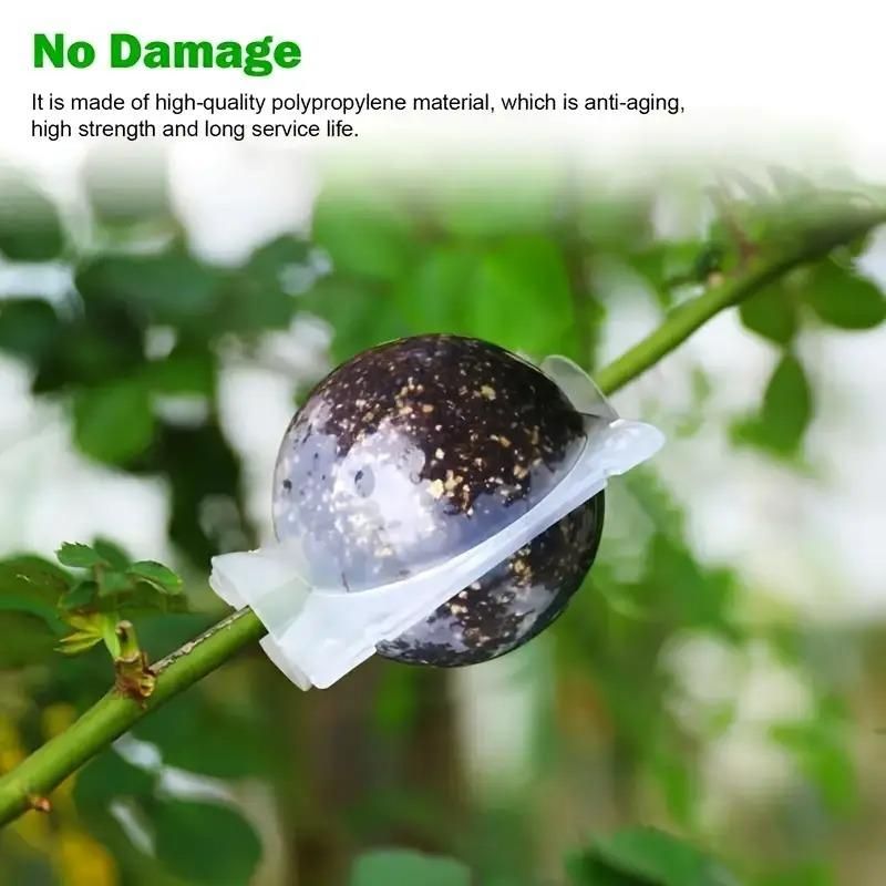 Plant Root Growing Box (Pack of 4)
