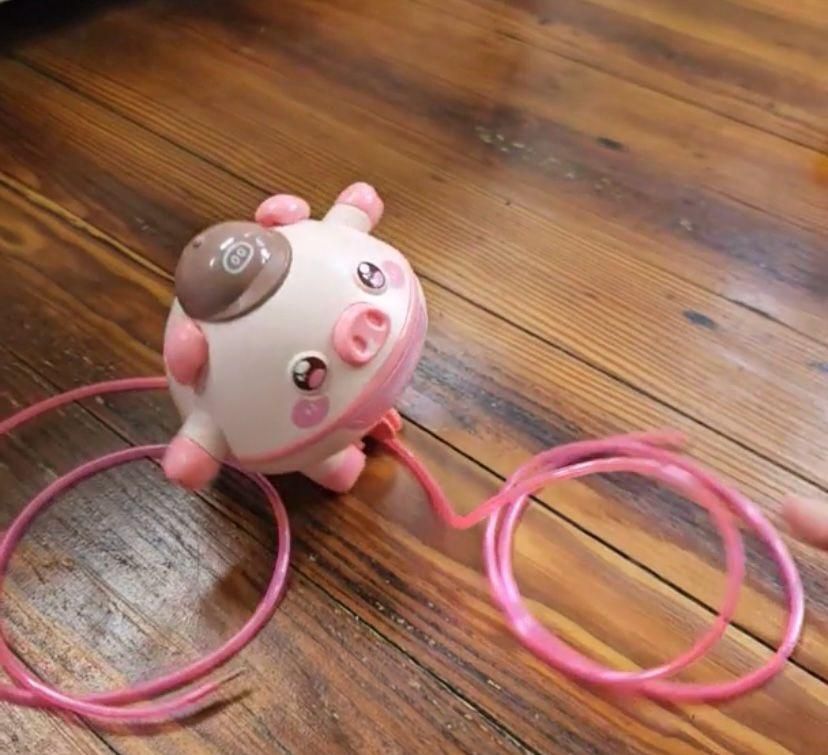 Walking Tumbler Pig for Children