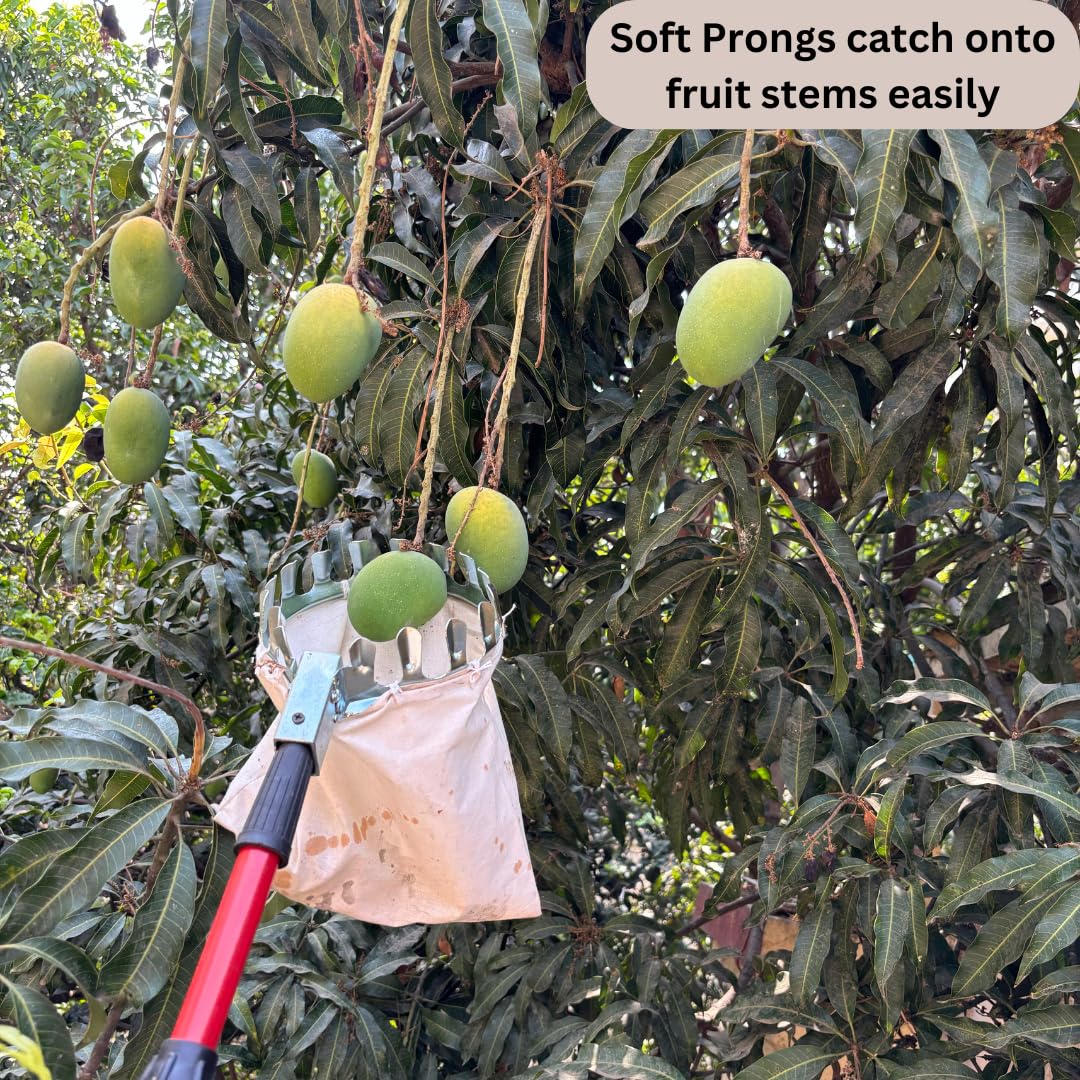 Fruit Picker Basket Tool